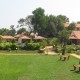 Greenery