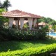 By the lush lawn
