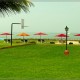 Lawn