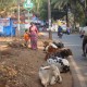 People_3
