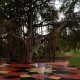 Meditation Point Meditation Point
