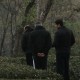 Nature walks