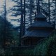 Amidst Nature