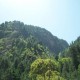 Nature around
