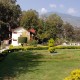 Greenery