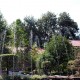 Fountain