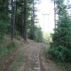 Nature Trail Nature Trail