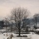 Lone tree Lone tree