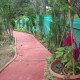 Walking Track Walking Track