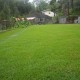 Garden Garden