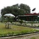 Lawn Lawn
