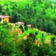 Panoramic View