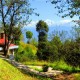Nature view