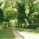Lawn Lawn