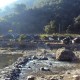 Nature around