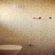 Restroom