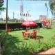 Lawn Area