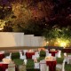 Lawn Lawn