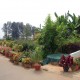 Garden Area