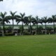 Lawn Area