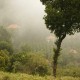 Serene Landscape Serene Landscape
