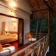Tree House Tree House