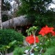 Coffee Hut