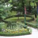 Lawn Area
