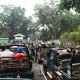 Jeep Safari