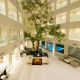 Courtyard from Top